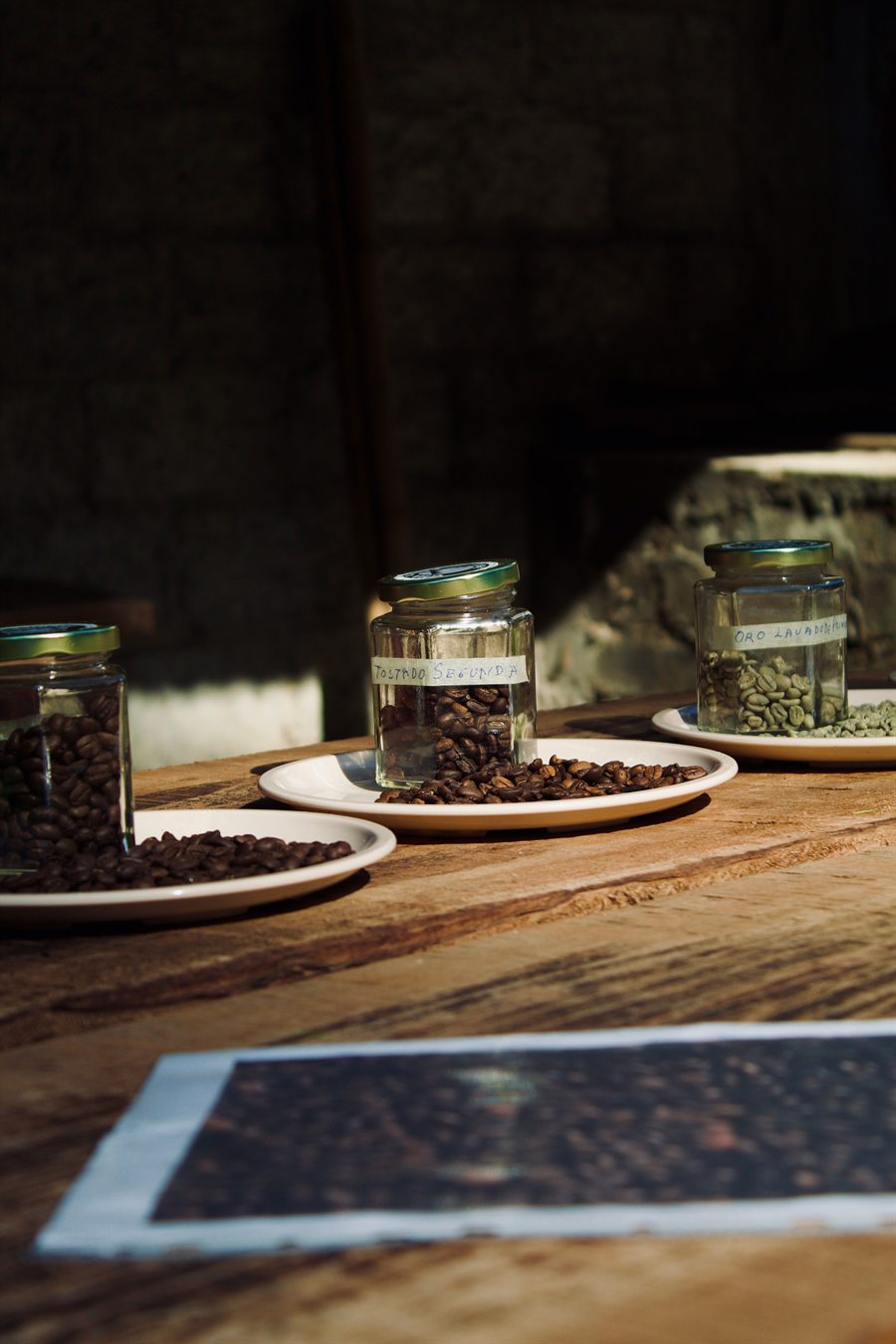 How coffee is graded