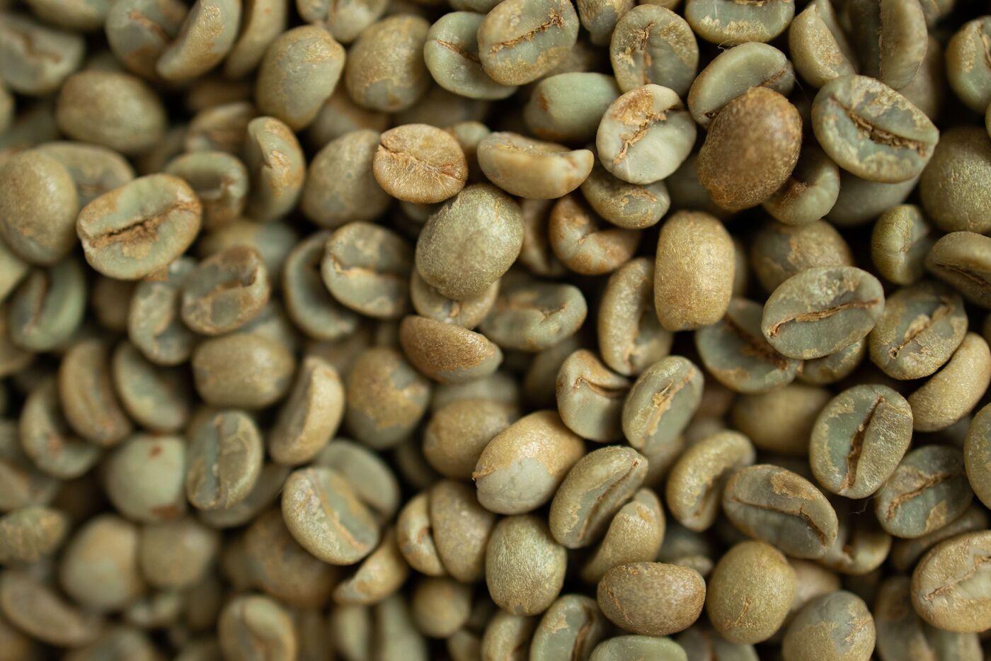 Raw green coffee beans