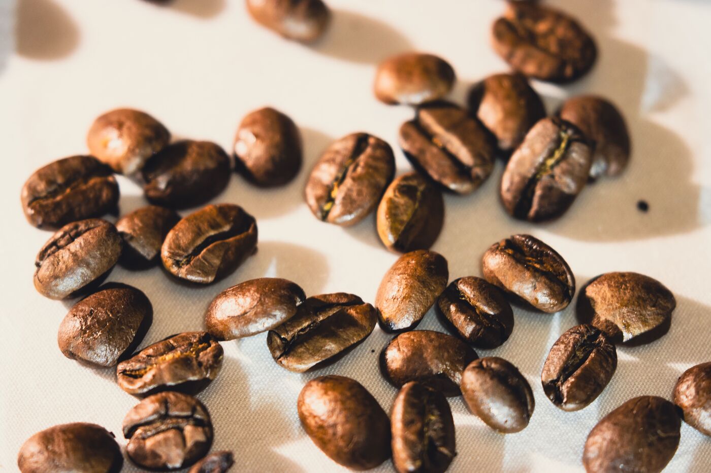 Roaster reels